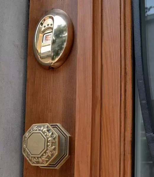 Athena metal entrance door