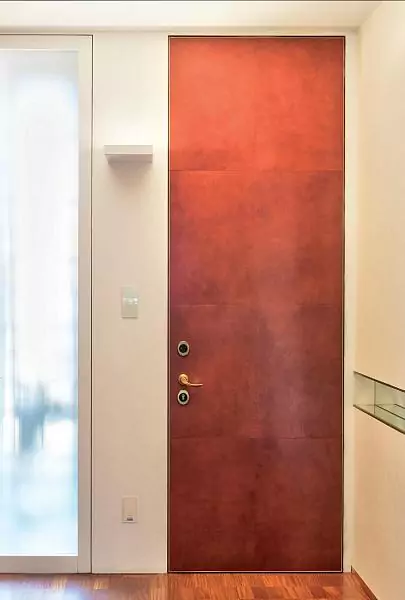 Athena metal entrance door