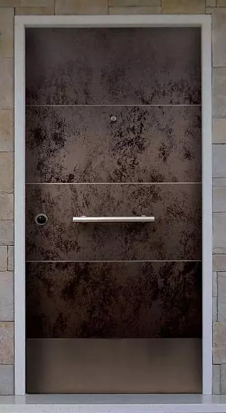 Entrance metal door 