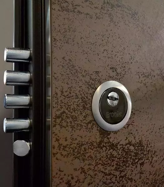 Entrance metal door 