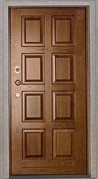 Athena metal entrance door
