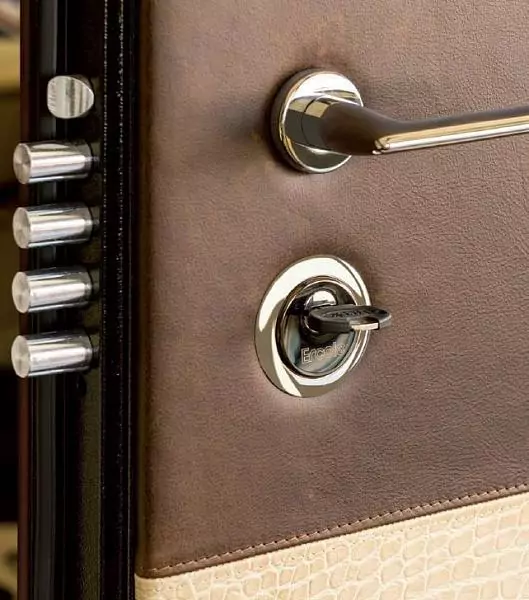 Athena metal entrance door