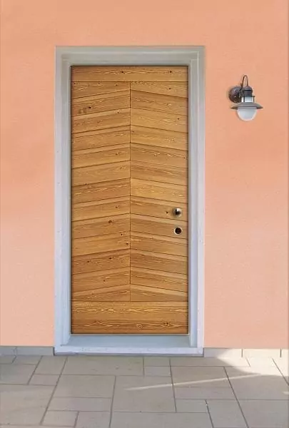 Athena metal entrance door