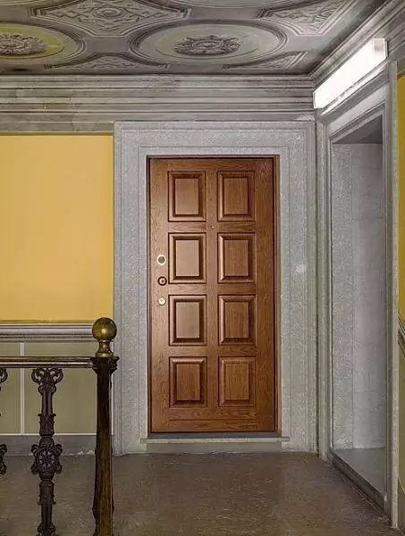 Athena metal entrance door