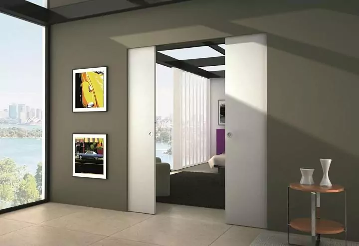 SYNTHESIS LINE DOUBLE pocket door