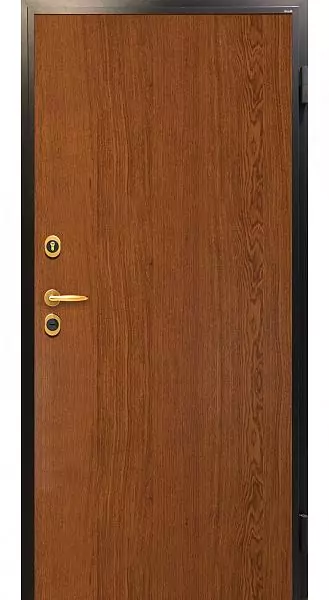 DELTA PRO 602, decorative panel FLASH P K, natural veneer Rovere Marrone.