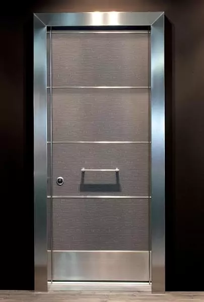 Entrance metal door 