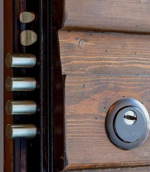 Athena metal entrance door