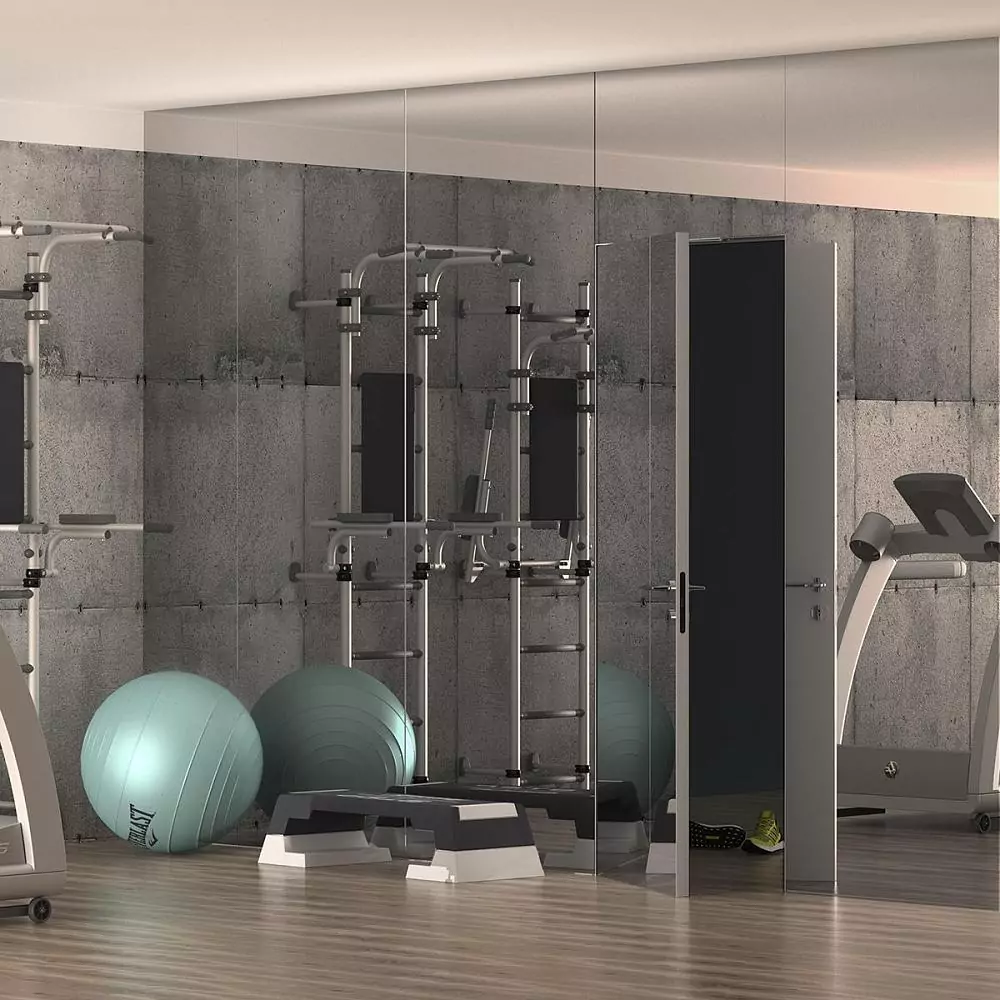 LAGO–60, Mirror (mirror), hidden door frame and aluminum frame of the canvas in Chrome Matt finish.