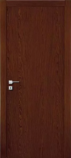 Interior door Y21