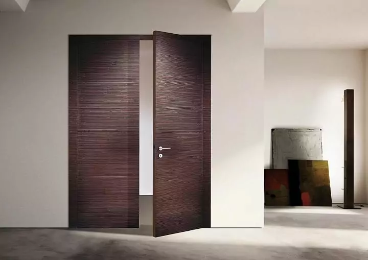 Interior door BD 66 EL