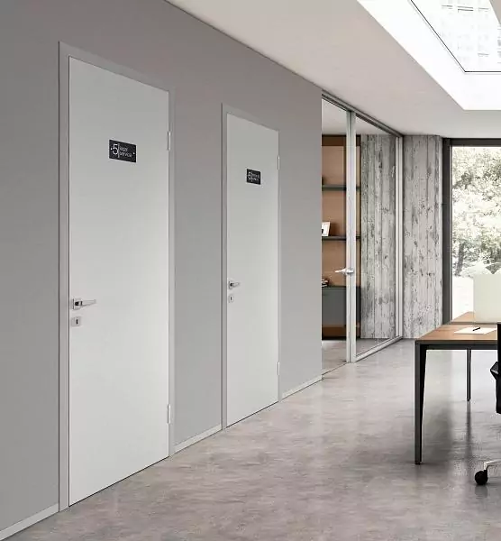 UNIX. The door is in an aluminum box on card hinges. The finish of the canvas is matt enamel Bianco. Box and platbands in Chrome Matt color.