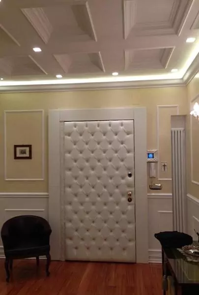Athena metal entrance door