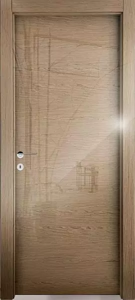 Interior door Y59