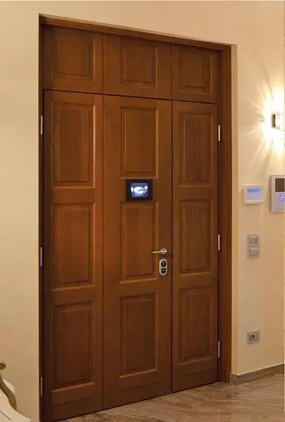 Athena metal entrance door