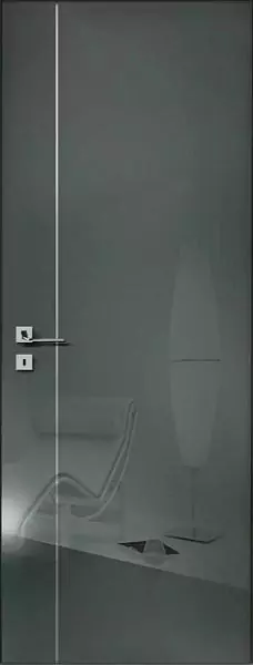 Interior door Y21 AX