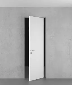 PIVOT door