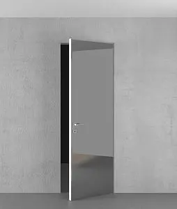 Door with mirror