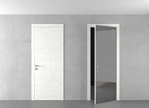 Door with mirror