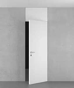 Door with transom